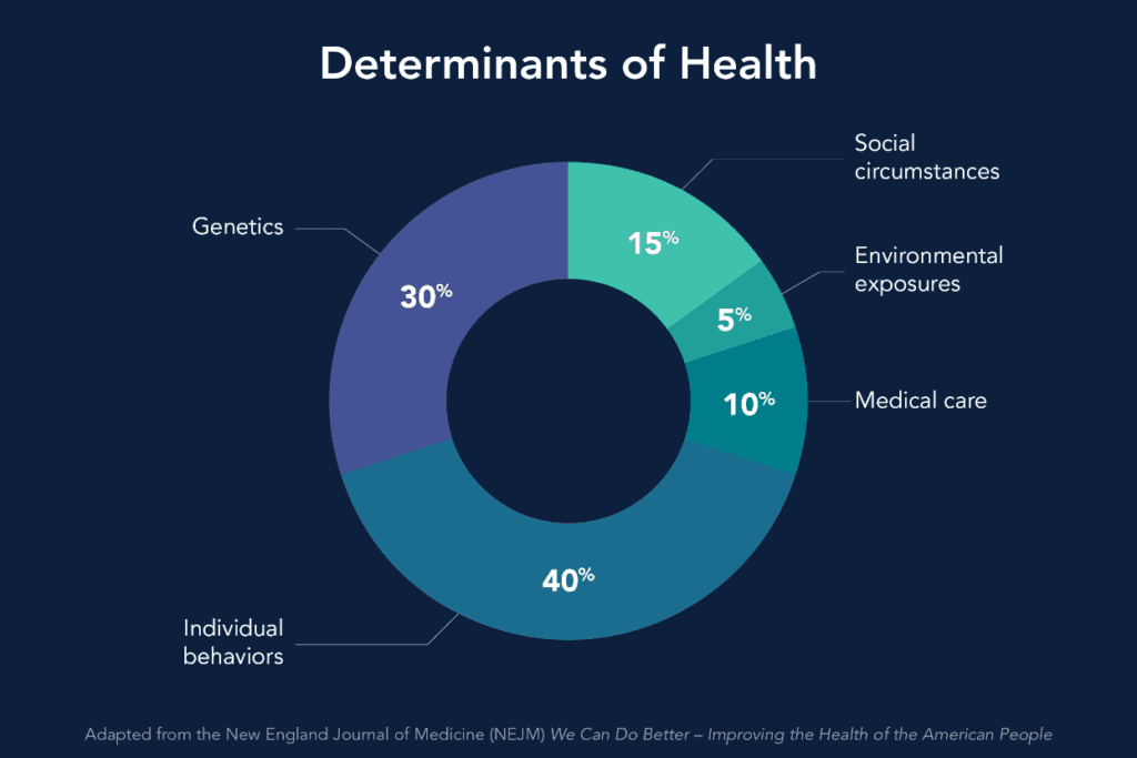  A pie chart showing determinants of health, with genetics being the largest factor.