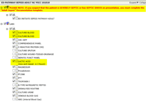 Screenshot of Paragon EHR tool