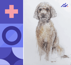 A sketch of Hastings, a PAT dog.